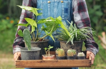 Plant logistics and export support